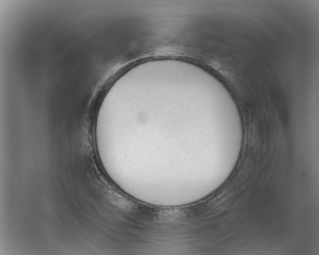 X0000062601454200601040901