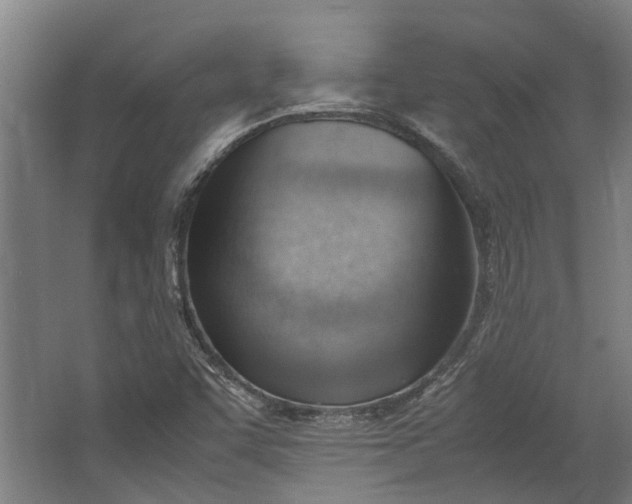 X0000062601455200601040901