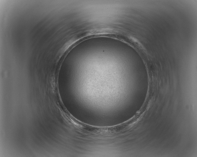 X0000062601457200601040901