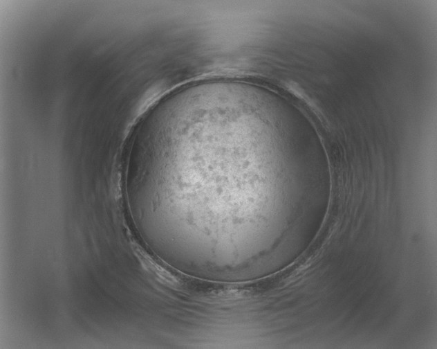 X0000062601459200601040901