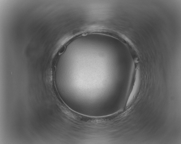 X0000062601461200601040901