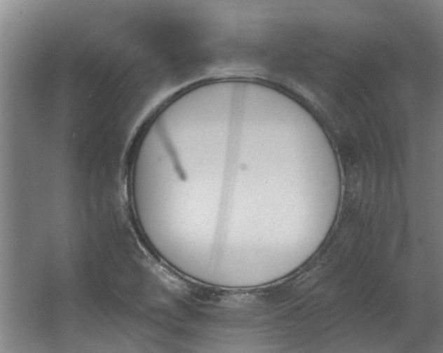 X0000062601462200601040901