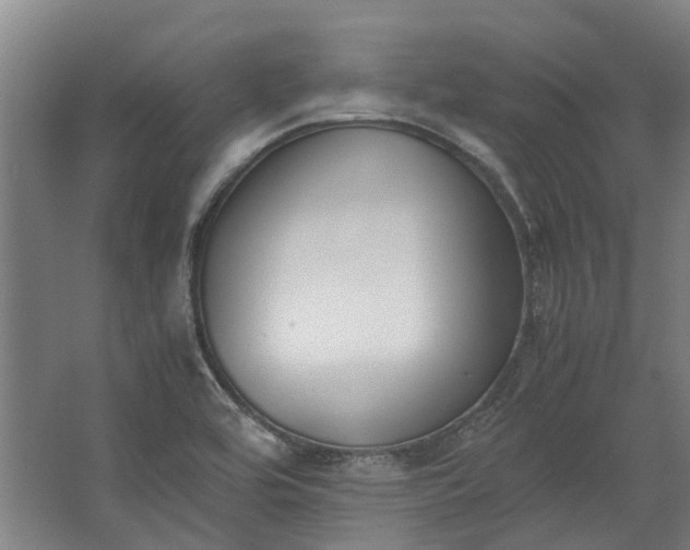 X0000062601464200601040901