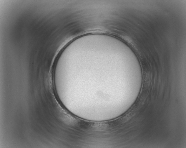 X0000062601466200601040901