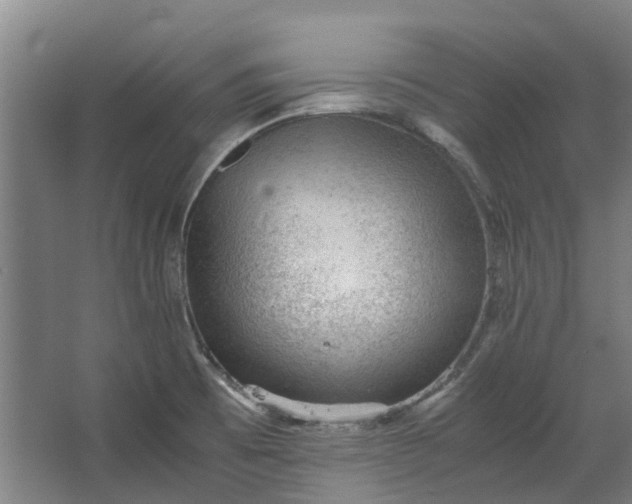 X0000062601473200601040901