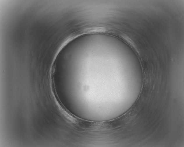 X0000062601475200601040901