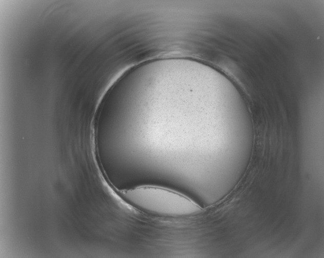 X0000062601476200601040901