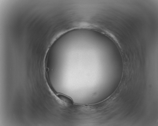 X0000062601479200601040901