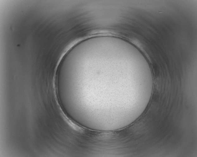 X0000062601482200601040900