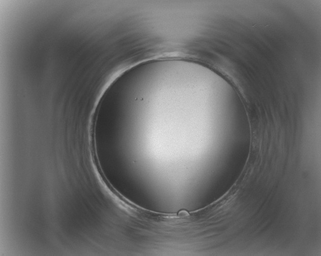 X0000062601483200601040900