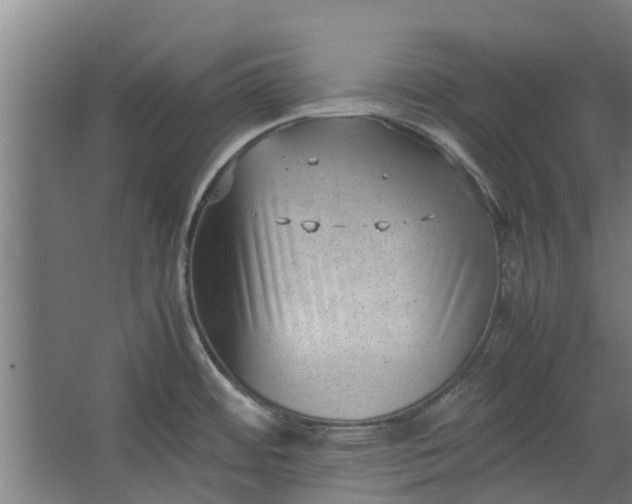 X0000062601484200601040900