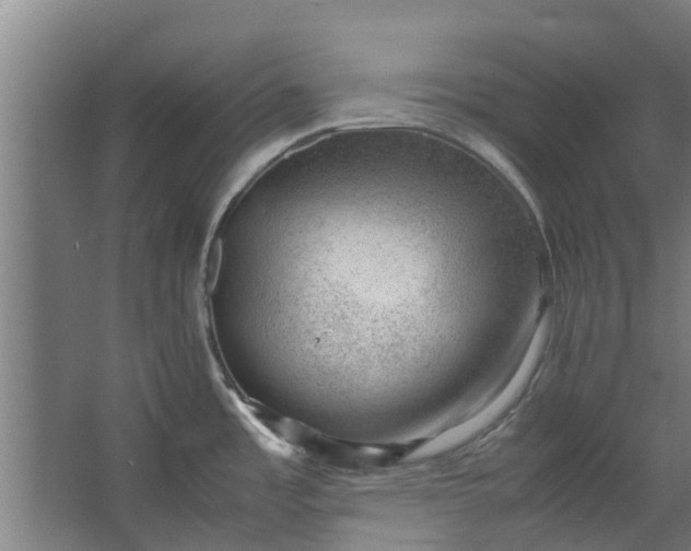 X0000062601485200601040900