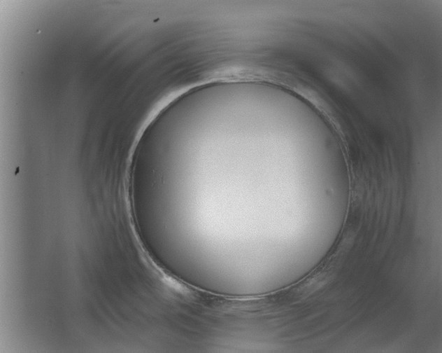 X0000062601486200601040900