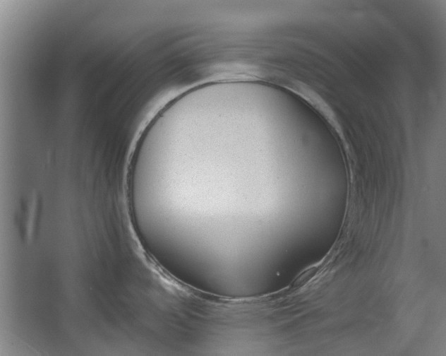 X0000062601488200601040900