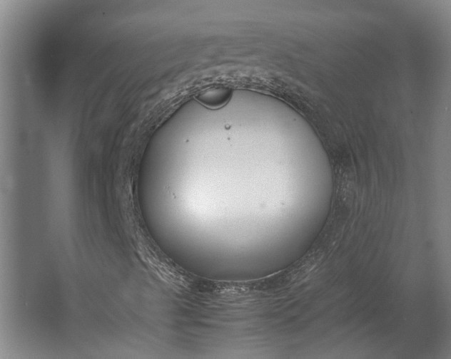 X0000062601489200601040900