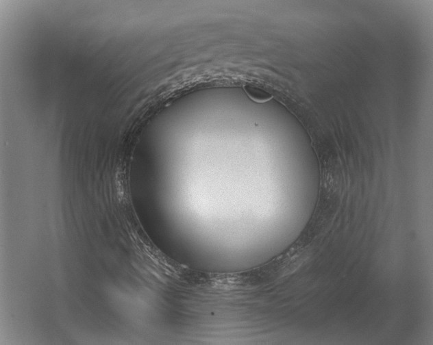 X0000062601490200601040900