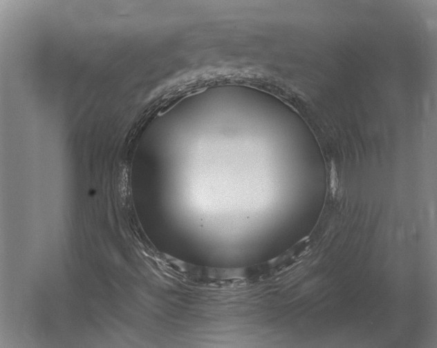 X0000062601492200601040900