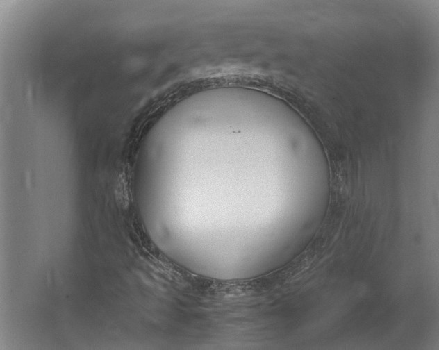 X0000062601493200601040900