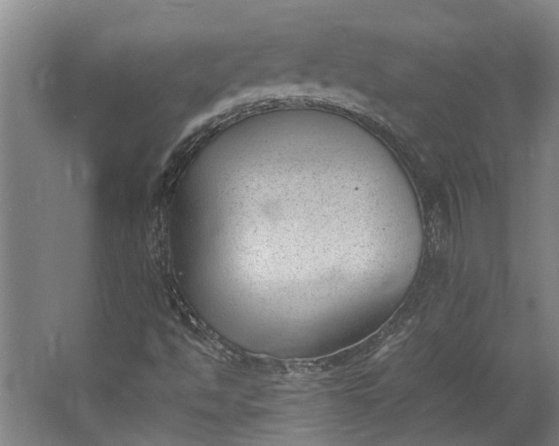 X0000062601494200601040900