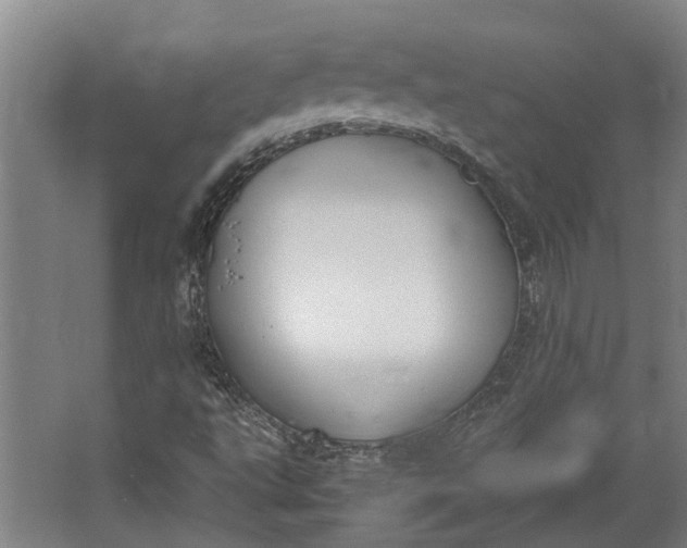 X0000062601495200601040900