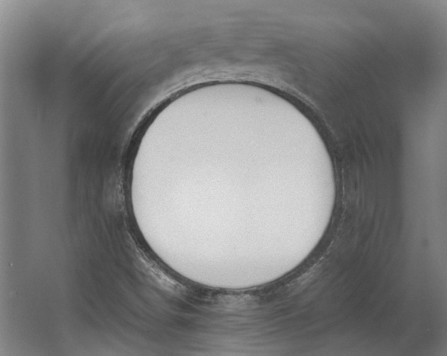 X0000062601498200601040900