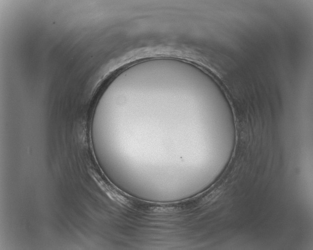 X0000062601499200601040900