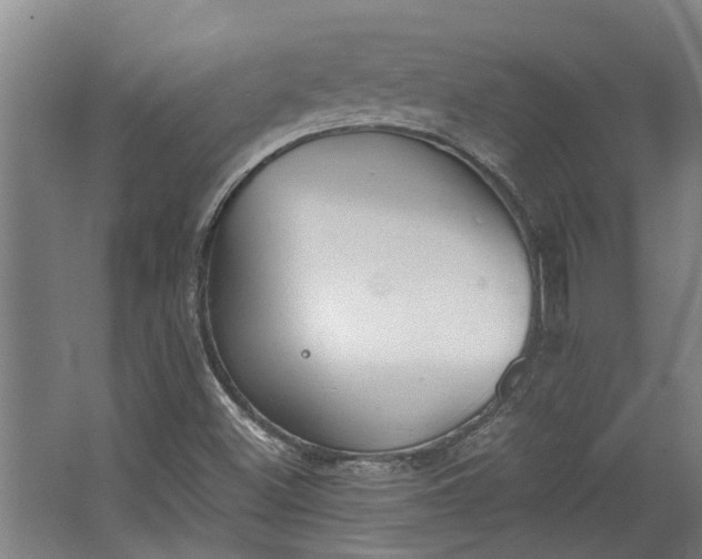 X0000062601500200601040900