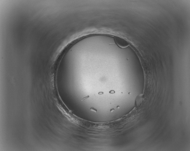 X0000062601503200601040900