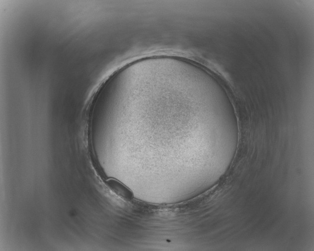 X0000062601504200601040900