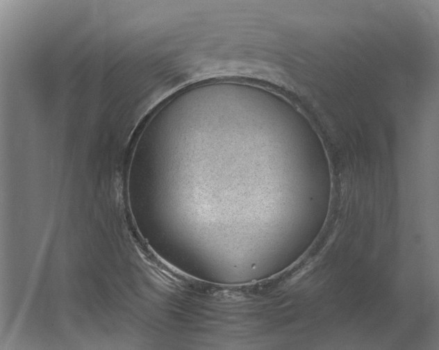 X0000062601505200601040900