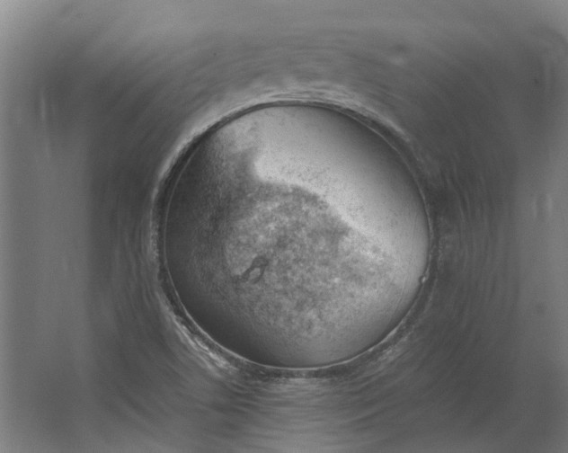 X0000062601506200601040900