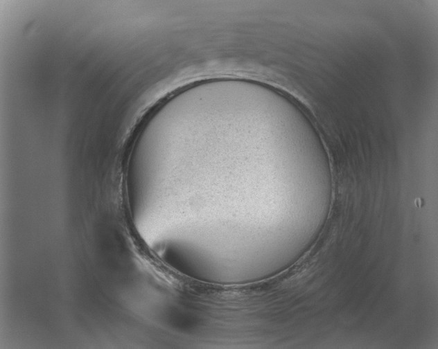 X0000062601507200601040900