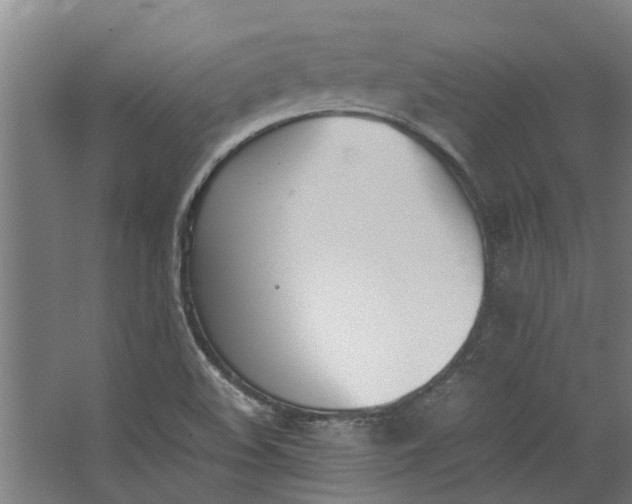 X0000062601508200601040900