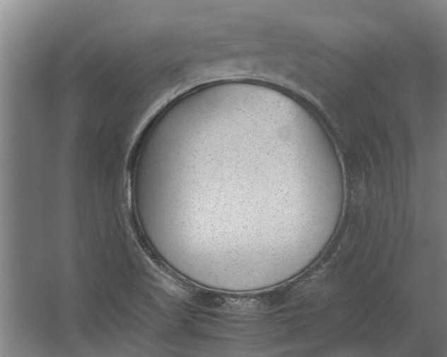 X0000062601509200601040900