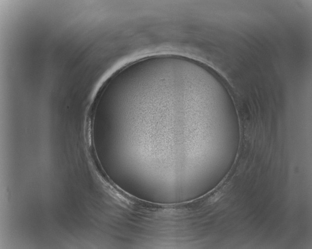 X0000062601510200601040900