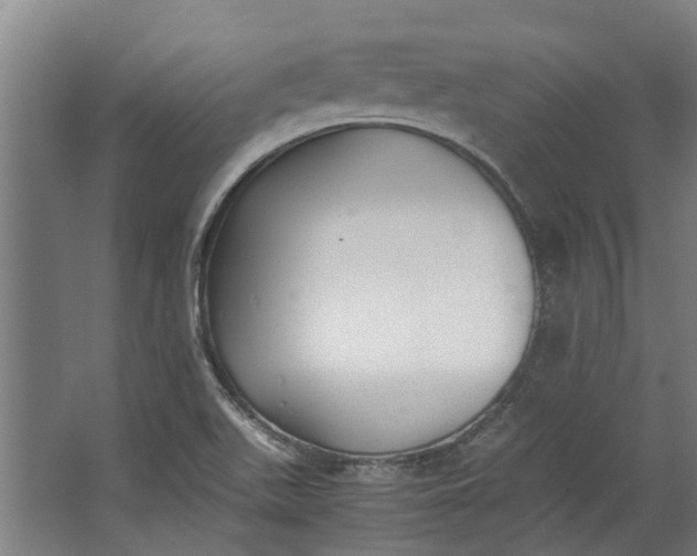 X0000062601511200601040900