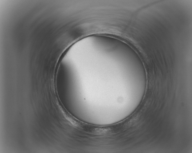 X0000062601513200601040900