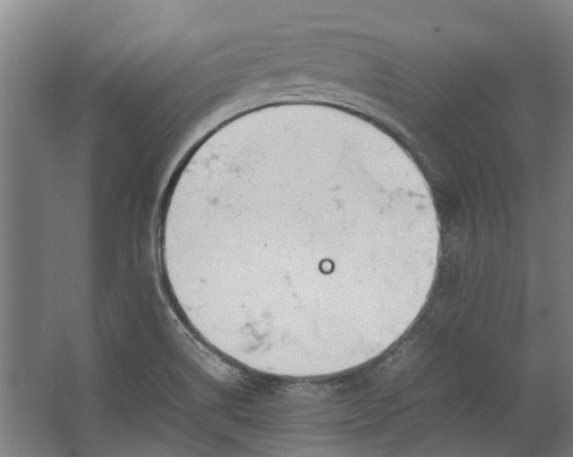 X0000062601514200601040900