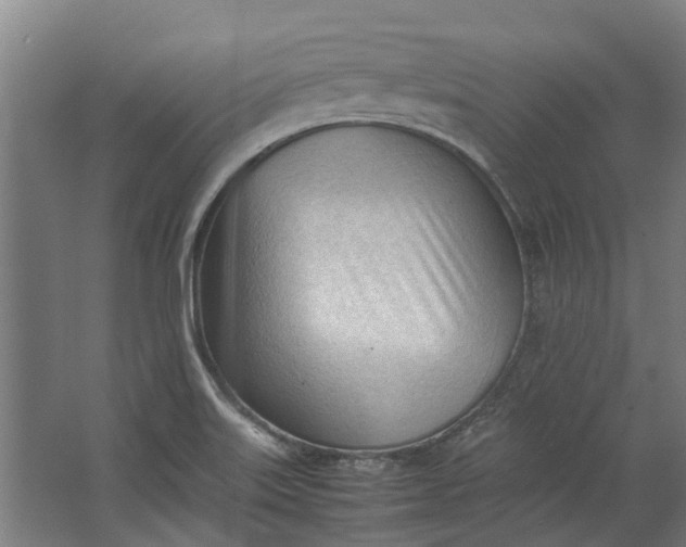 X0000062601515200601040900