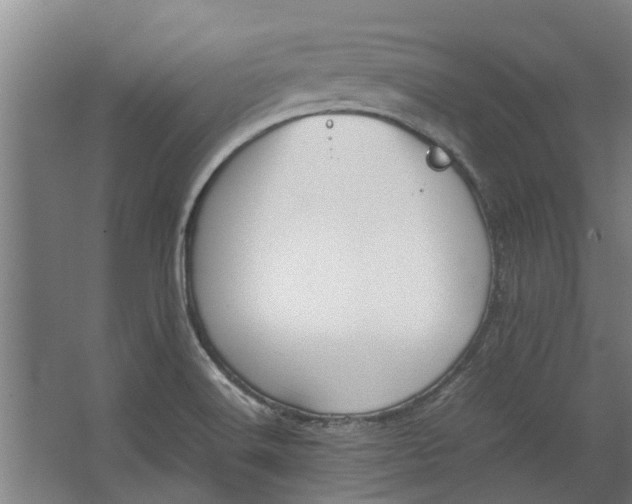 X0000062601516200601040900