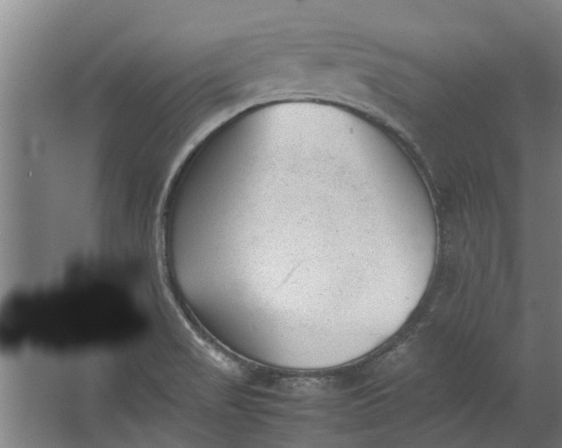 X0000062601517200601040900