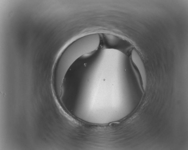 X0000062601518200601040900