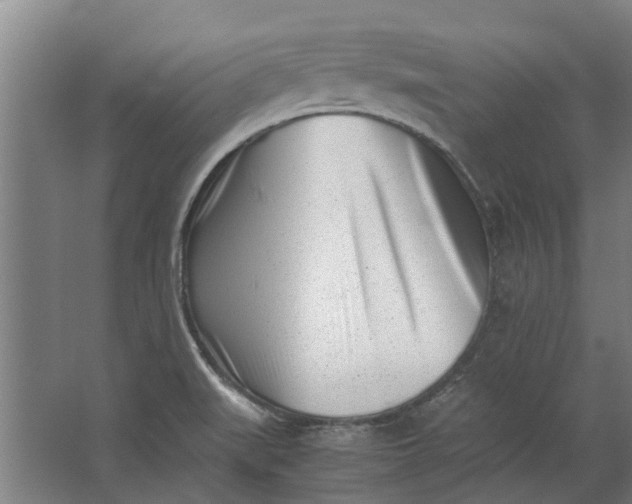 X0000062601519200601040900