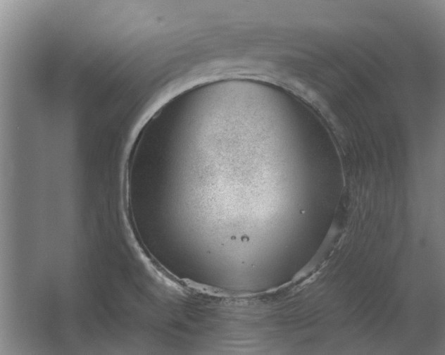 X0000062601520200601040900