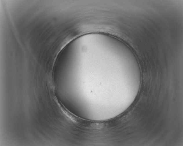 X0000062601521200601040900