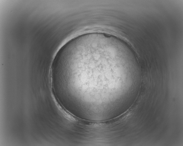 X0000062601522200601040900