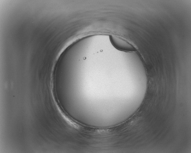 X0000062601523200601040900