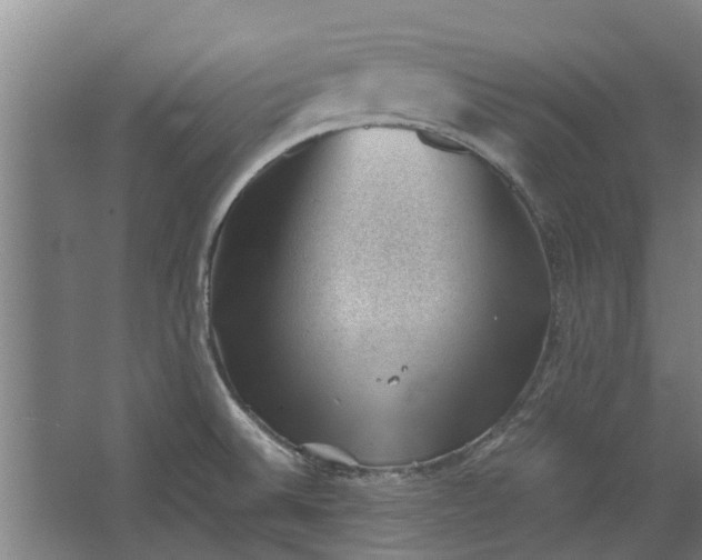 X0000062601524200601040900