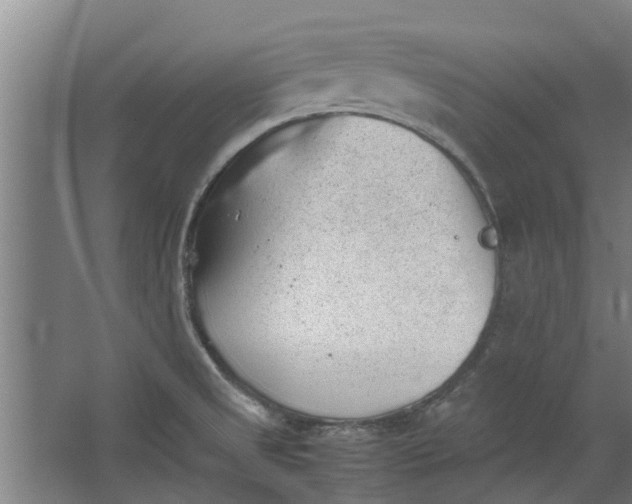 X0000062601525200601040900