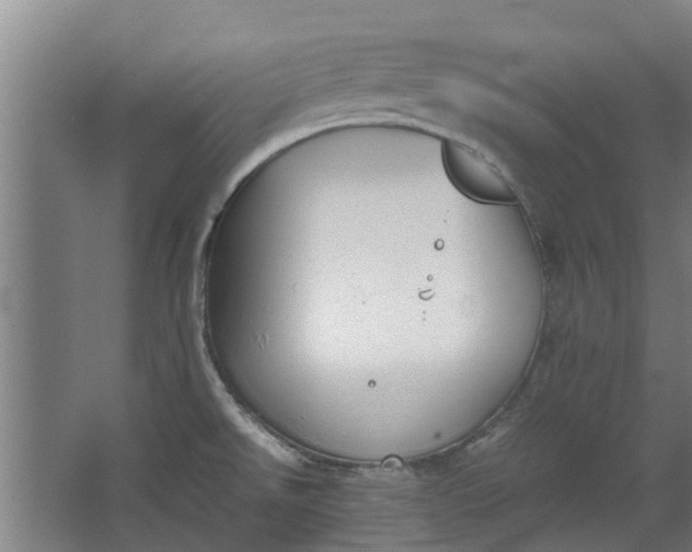 X0000062601526200601040900